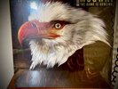 MOGWAI  THE HAWK IS HOWLING NEW VINYL