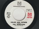 NORTHERN SOUL-THE WINSTONS-COLOR HIM FATHER-METROMEDIA-**DEMO**-***NICE COPY***