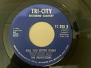 Rare Detroit Northern Soul 45/  Perfections 