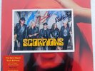 The Scorpions 