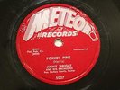 BLUES JIMMY WRIGHT Porkey Pine / Scotch Mist METEOR 5007 GRT BLUES GUITAR INSTRO
