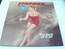 Thunder The Thrill Of It All Rare 1996 Original 2 LP Vinyl Limited to 5000 Only