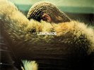 BEYONCE - Lemonade 2-LP (SEALED* 2016) Yellow Coloured Vinyl
