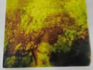 NEW SUPER RARE 311 - Grassroots Black  2011 Vinyl LP  NM Condition