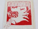 Guided by Voices Same Place the Fly Got Smashed LP, Vinyl Record w/Lyric Sheet