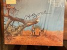 Molly Tuttle Crooked Tree signed vinyl autograph