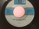 Ray Camacho and the Teardrops She's Good To Me b/w Sunshine Superman ARV 45