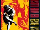 Guns N' Roses Use Your Illusion I Vinyl / 12