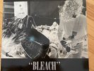 Nirvana, Bleach, 12” Vinyl, W/Insert, Sub Pop, 2nd Press, Only 2000 Made, Rare