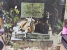 SPIRITS & WORM RECORD ON A&M RECORDS (SP-4229) ORIGINAL SHRINKWRAP & INNERSLEEVE