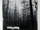 The Cure - A Forest 12