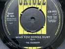 The Colorados Who You Gonna Hurt UK 7” 45 Joe Meek