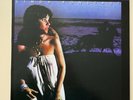 LP Linda Ronstedt Hasten Down The Wind