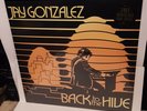 JAY GONZALEZ   BACK TO THE HIVE BRAND NEW SEALED VINYL LP 2021 DRIVE-BY TRUCKERS