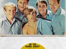 THE BEACH BOYS  Do You Wanna Dance / Let Me Wonder  original 45 with PicSleeve
