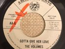 The Volumes - Gotta Give Her Love - American Arts Demo