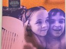 The Smashing Pumpkins Siamese Dream 2 LP  Vinyl 12” Record Sold Out Rare nirvana