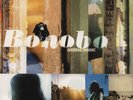 Bonobo Animal Magic 2LP