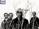 TOM PETTY &  HEARTBREAKERS - ECHO NEW VINYL