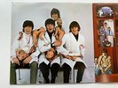 THE BEATLES 1980  U-S-A    LP     RARITIES    CAPITOL SHAL 12060  BUTCHER COVER