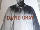 David Gray Vinyl Birds Without Wings EP Debut 1992 Hut Records
