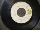 Bobby Freeman I'll Never Fall In Love Again Promo 45 Soul Autumn