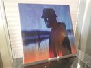 GENTLEMAN Blaue Stunde *Cover signiert* Orange Vinyl 2LP Reggae HipHop Rap