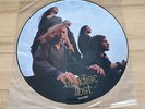 PARADISE LOST: Gothic LP Picture Disc Original Peaceville Records
