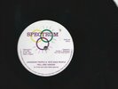HELL & HEAVEN -JAMAICAN PEOPLE A NICE NICE PEOPLE - LLOYD CLARKE YOUNG ONES-12''