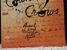 Counting Crows 