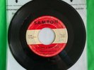 Ognir And The Nite People I Found A New Love/All My Heart Samron-102 Hazleton EX