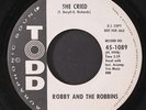 ROBBY & ROBBINS: surfer's life / she cried TODD 7