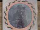 Florence And The Machine - Dance Fever Vinyl Picture Disc #2 Double LP New