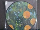 Lana Del Rey - Violet Bent Backwards Over The Grass (Limited Picture Disc)