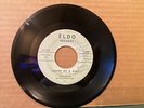SAFARIS- Signed by Artists - Image of a Girl ELDO-101 45rpm VG+