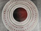 A Perfect Circle The Doomed / Dillusional PICTURE DISC 10
