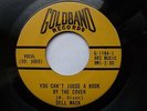 DELL MACK 45 CAN'T JUDGE A BOOK BY THE COVER USA GOLDBAND WILD 1966 BLUES BOP M-