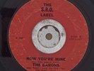 THE BARONS 45 Time and Time Again SRO  MD GARAGE few known copies BFTG