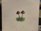 D.J Mark Farina Mushroom Jazz 2 LP RECORD