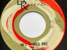 THE REGINAS - He's A Wild One / RARE POPCORN R&B NORTHERN SOUL DEBLYN 45