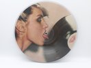 Blondie Parallel Lines 12 Inch Picture Disc 1978 US Limited Edition 12-Track LP