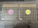 FLOWERED UP Weekender 2 x 12” 30th Anniversary 800 Only New
