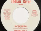 VAN JONES & J’s Say Ow Ow / Let’s Go Disco INDIAN RIVER 45 soul funk VG+ HEAR