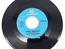 The Winstons Color Him Father 45 RPM Single Record Metromedia 1969 MMS-117 D