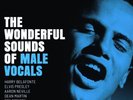 ANALOGUE PRODUCTIONS APP-131 THE WONDERFUL SOUNDS OF MALE VOCALS 2020 release