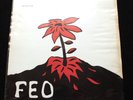 FEO Denmark 1971 Spectator Folk Psych LP *MINT-* exceptional