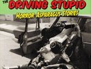 The Driving Stupid Horror Asparagus Stories (Vinyl) 12