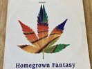 Zion Train Homegrown Fantasy Record Vinyl 1995 Electronic Dub House Breakbeat