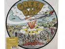 Green Day - Dookie Vinyl Picture Disc - Opened But Never Played