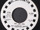 AMERICAN BEETLES: school days / hey hey girl ROULETTE 7